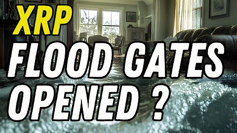 XRP THE INSTITUTIONAL SHIFT