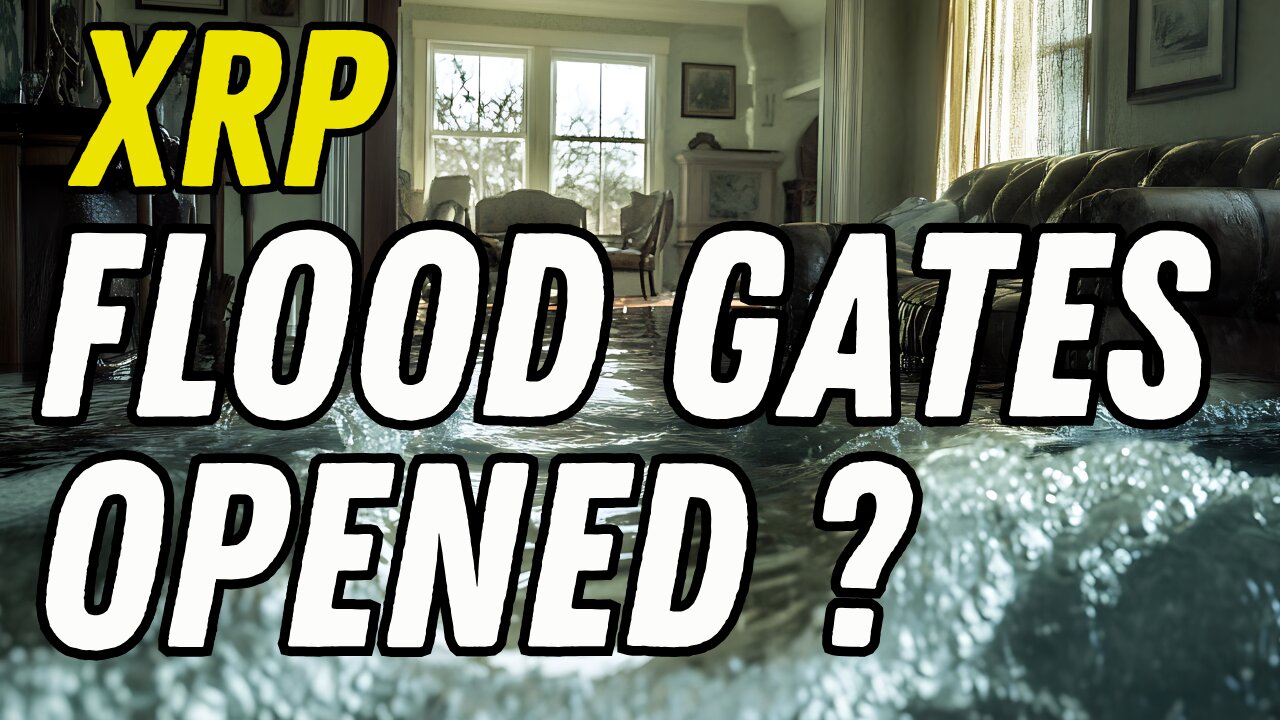 XRP THE INSTITUTIONAL SHIFT