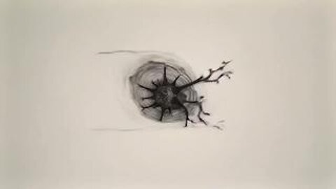 Teaser for - THE TRIBUTE - a web-series giving voice to New Zealand's Covid jab casualties.