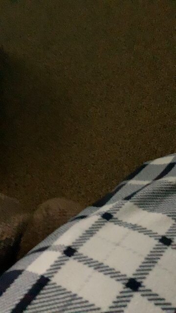 I just wasted ten seconds of your life