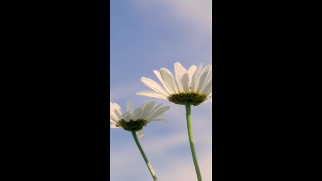 Günün sözü