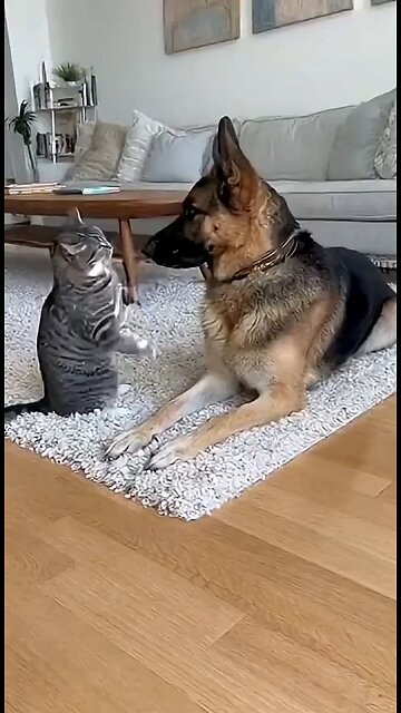 Feminism In A Nutshell