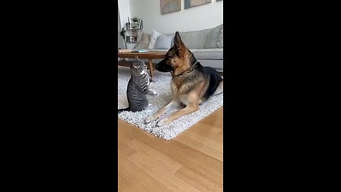 Feminism In A Nutshell