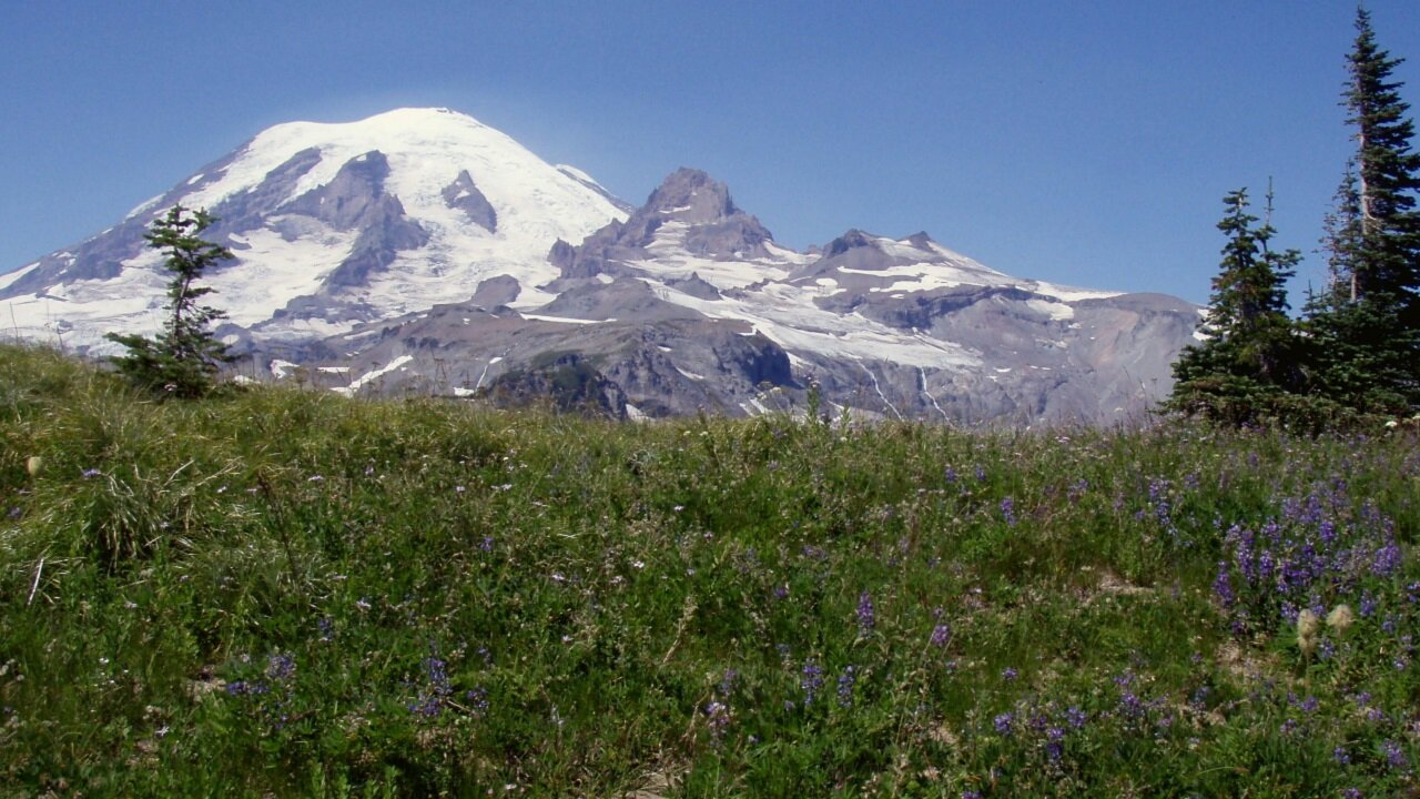 Mount Rainier - Indian Bar, Cowlitz Divide (Wonderland Trail)