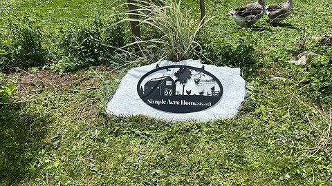 Simple Acre Homestead is live! #45