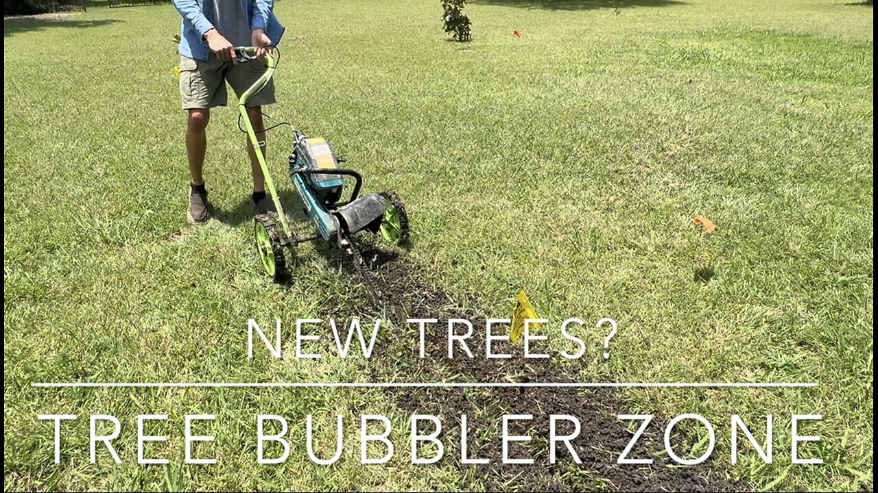New TREE Bubbler Zone