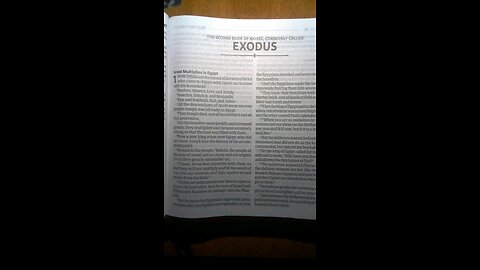Exodus Video 24