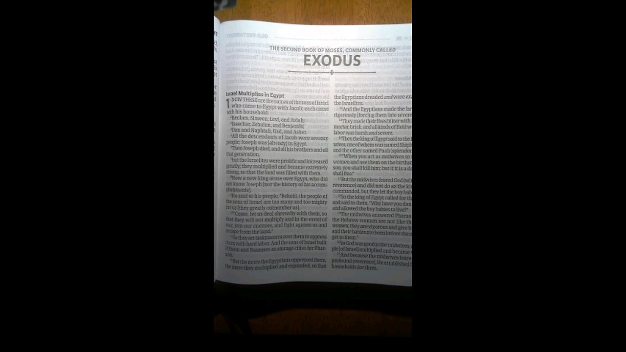 Exodus Video 24