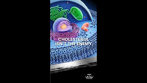Cholesterol Isn’t the Enemy