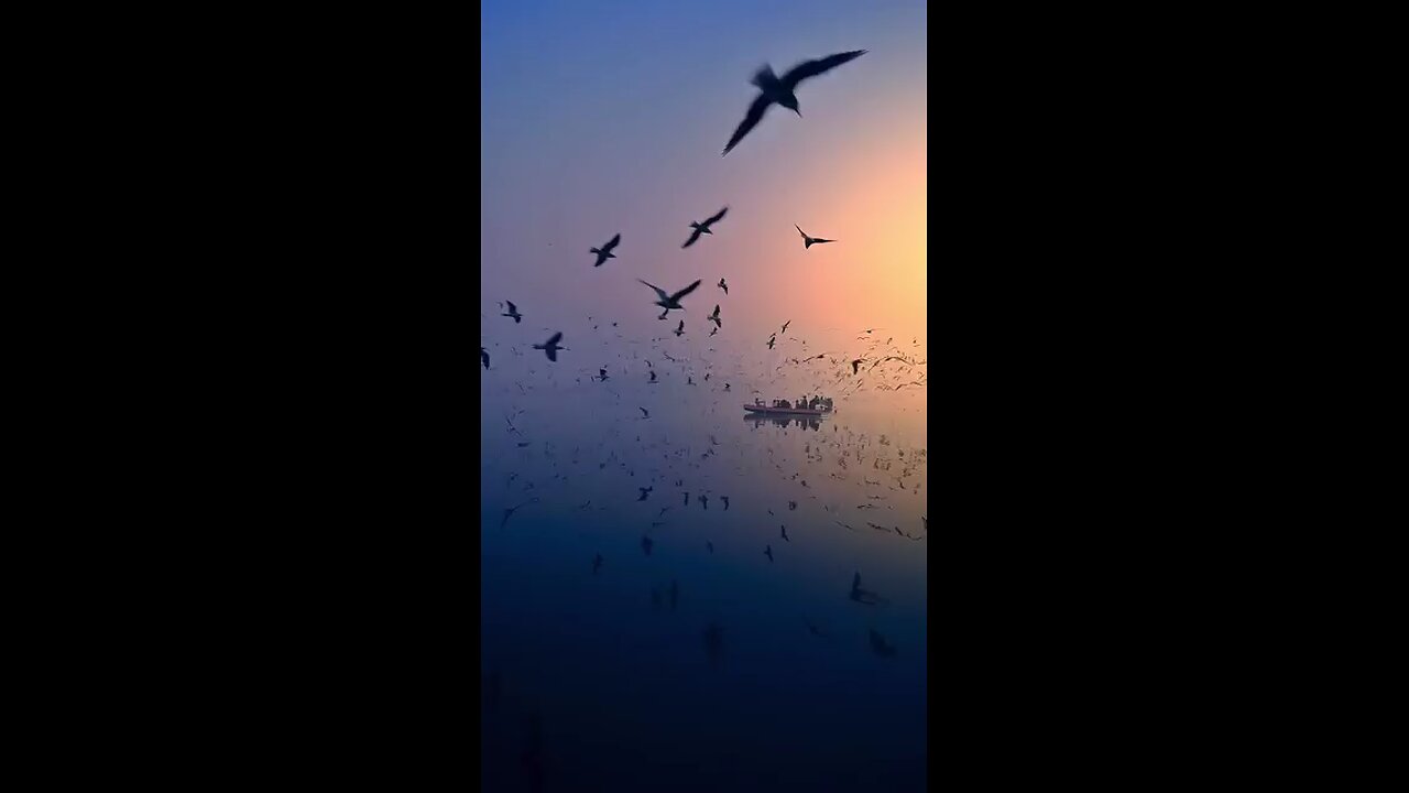 quran