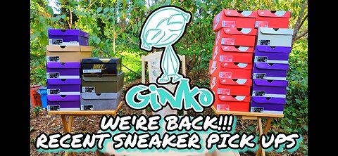 GINKO KICKZ IS BACK TRIBE! Recent Sneakers Pick Ups!