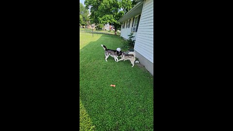 finally getting along