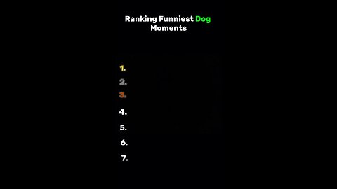 Ranking Funniest Dog Moments