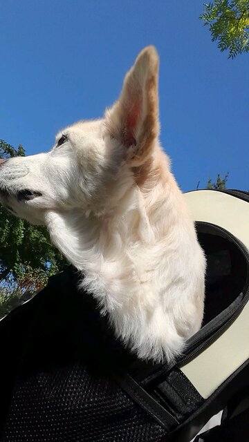 20251028. God Loves Me.