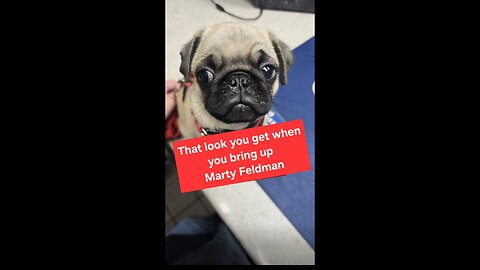 The Marty Look!