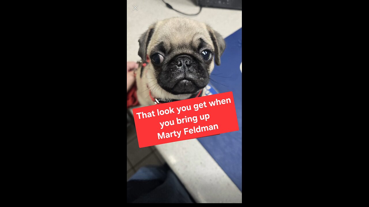 The Marty Look!
