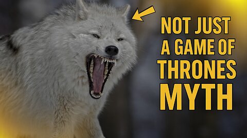 They Said It Was Fiction… But Direwolves Walked the Earth !