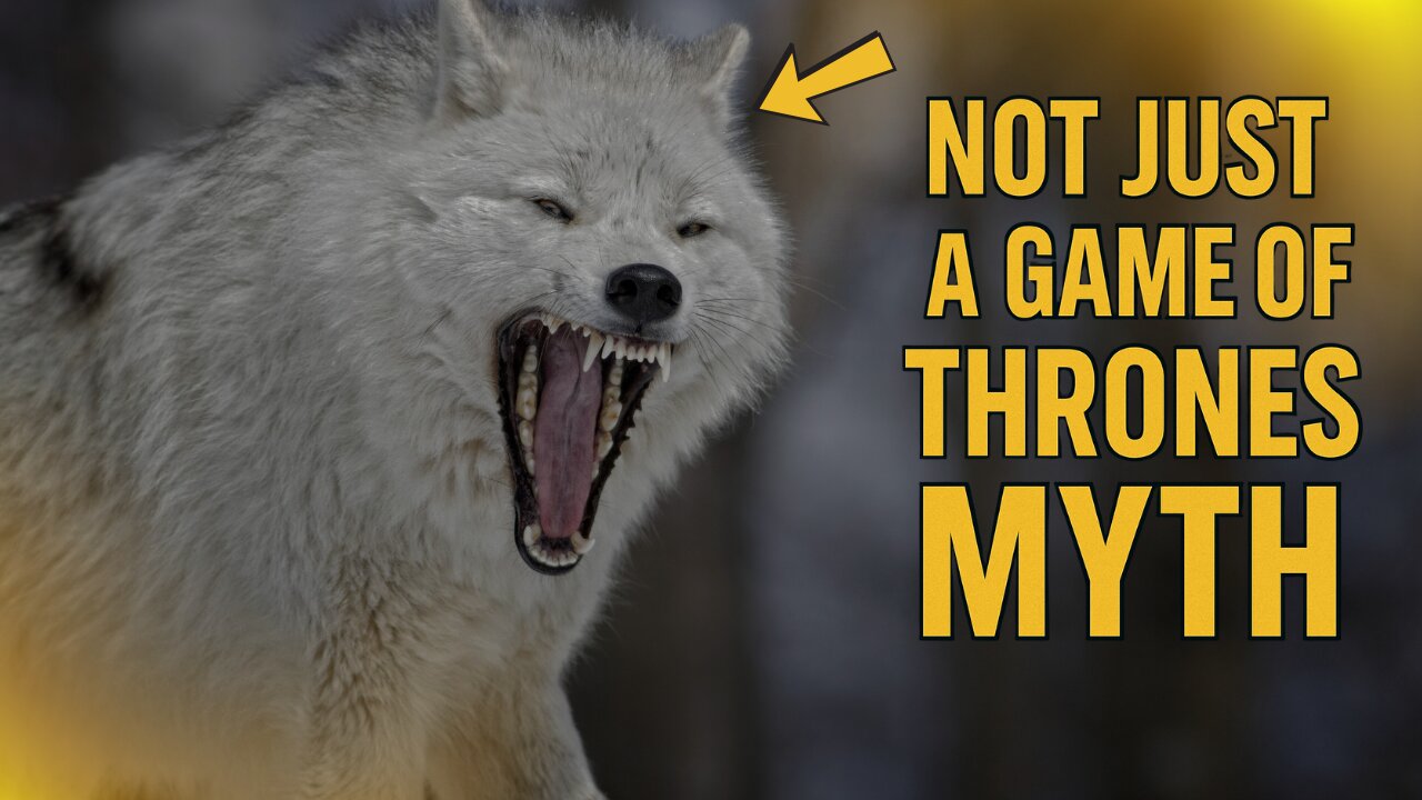 They Said It Was Fiction… But Direwolves Walked the Earth !