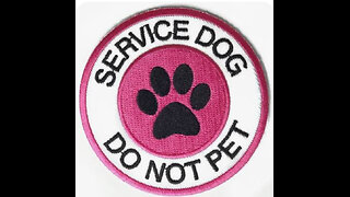Service Dogs & ADA requirements