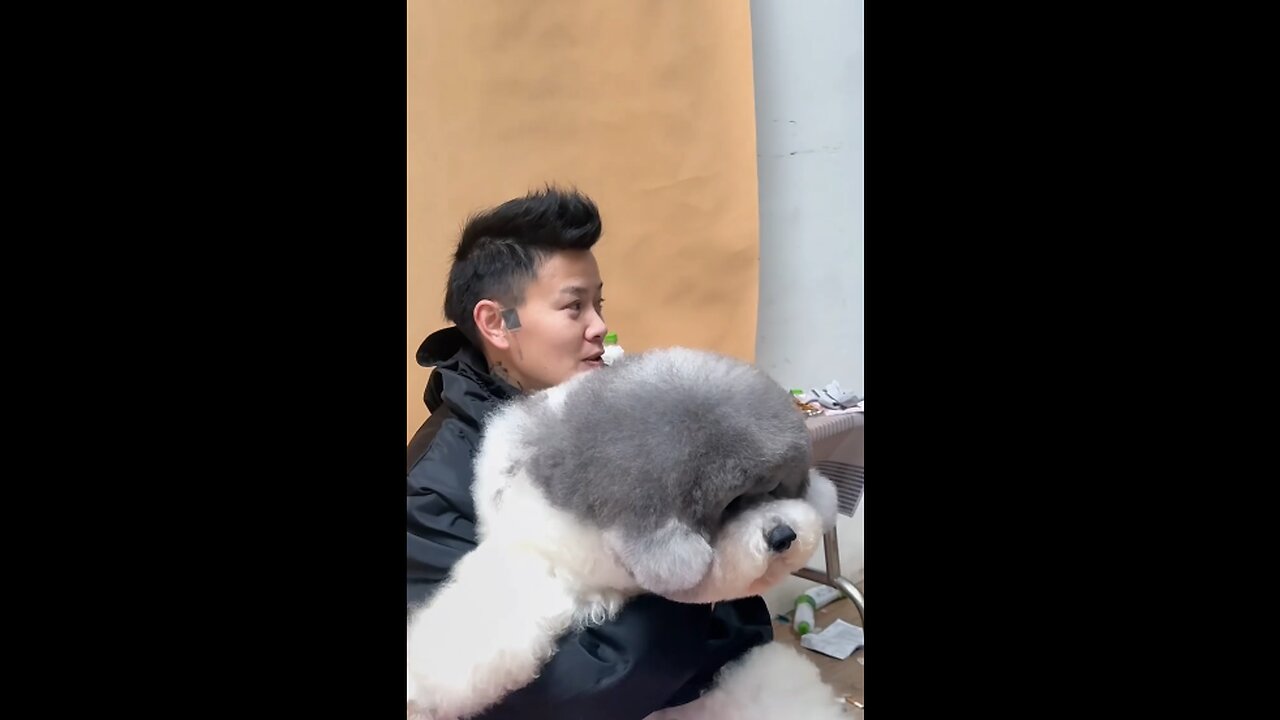 "Warning: This Cuteness Overload Will Make You Smile! 😍🐾"