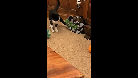 Mank always finds billy
