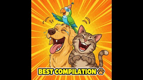 Awesome cute Pet Animals | PetHilarity