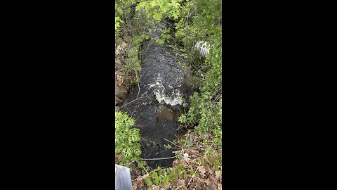 A tad downstream from the rising stream near my apartment