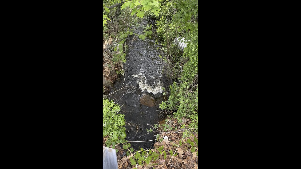 A tad downstream from the rising stream near my apartment