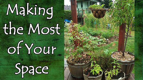 Making the Most of Small Spaces for Garden and Food Storage