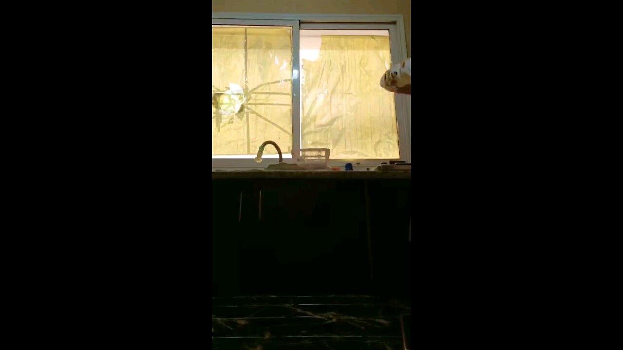 My Daily Routine in kitchen 😱🤩😲