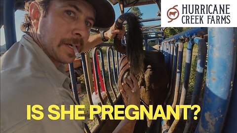 Is she pregnant?!?