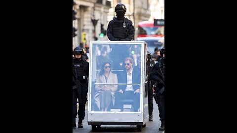 Salmonella Sussex Remains In The Doom Loop