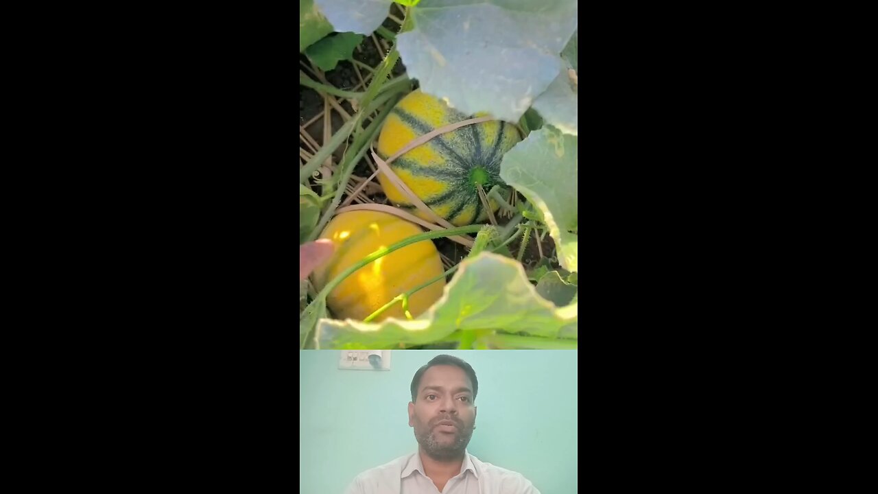 इस बात को समझें ।