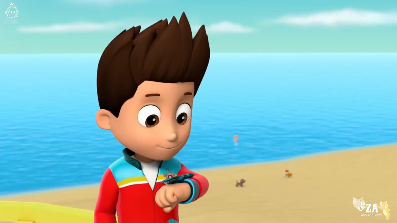 PAW Patrol Cartoons