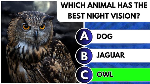 🌍General Knowledge QUIZ [ANIMALS] - Can you get 6?!