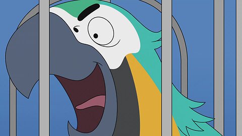 Various scenes with Nathan The Devious Parrot