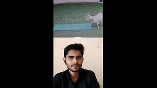 tu Meri struggle dekh songs