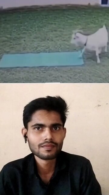 tu Meri struggle dekh songs