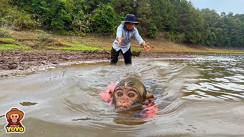 Naughty monkey YiYi secretly went swimming in the deep lake makes grandpa worried