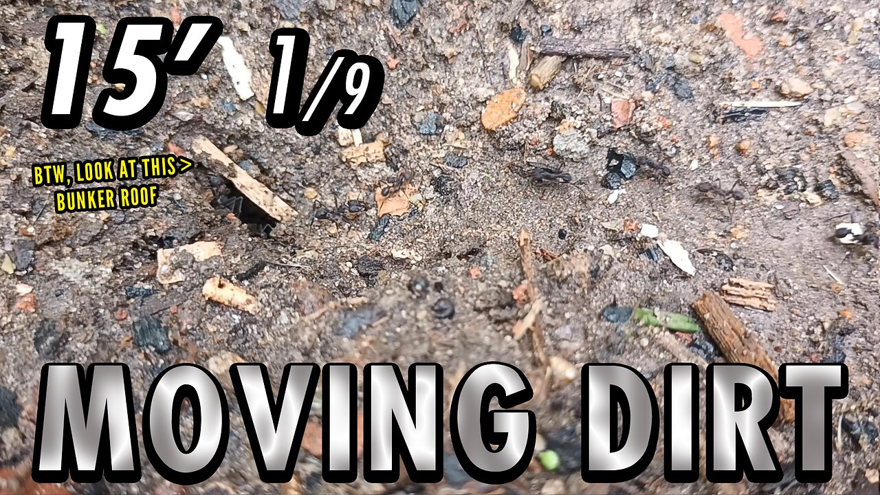 ASMR | It's a gloomy, humid, grey work day on the little trench - 15' 1/9