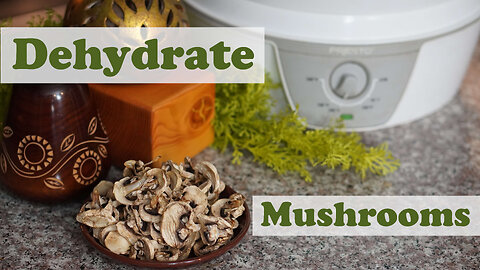 How to Dehydrate Mushrooms