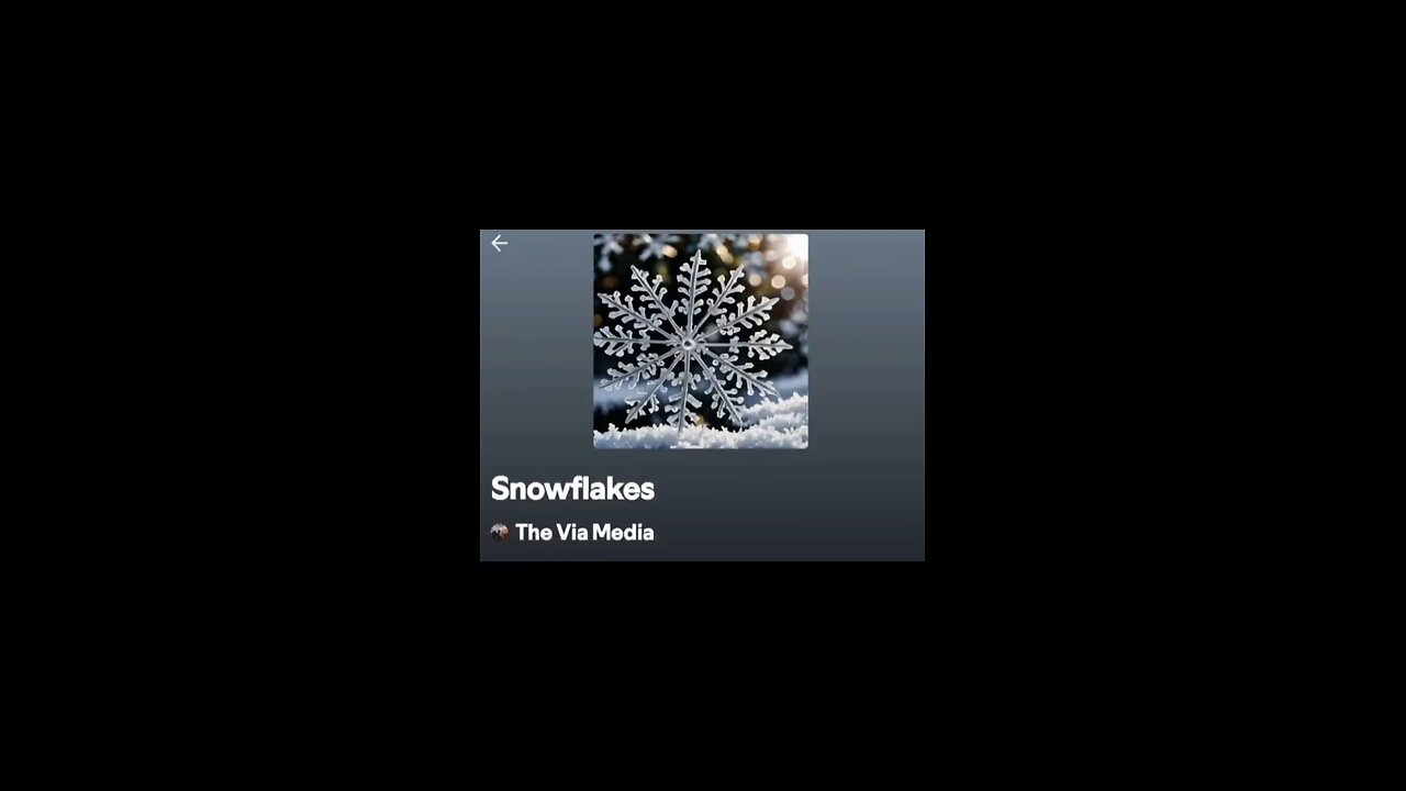 "Snowflakes" by: The Via Media
