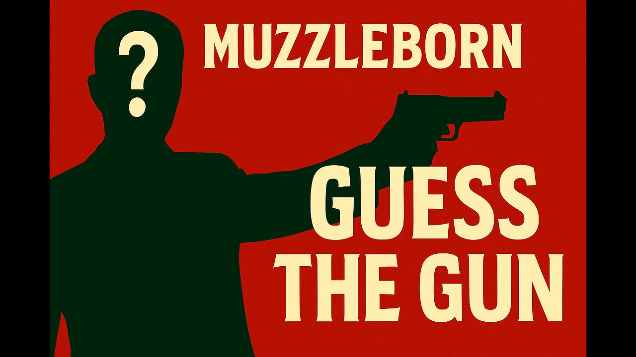 Guess the gun