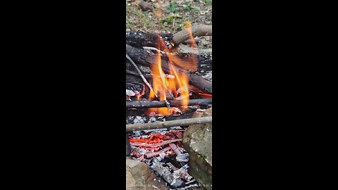 "Relaxing Nature Sounds of Gilan"