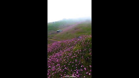 beautiful nature of gilan in iran