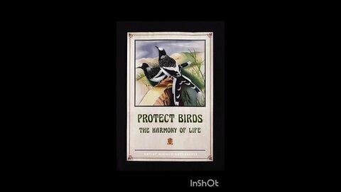 Save Birds (Poster design)