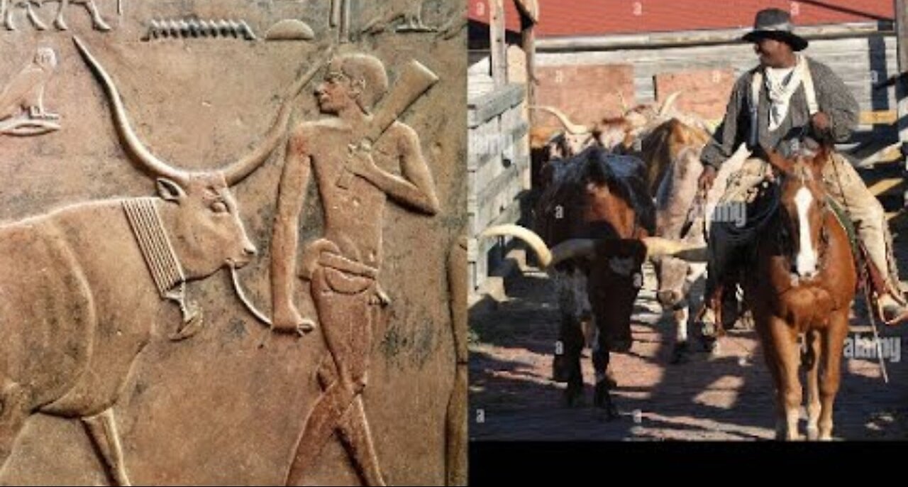 PT II, TX (EGYPT) 🐂 🤠 🐎 👢👢 #freetheland #freelarryhoover