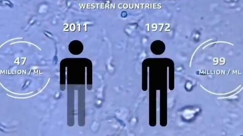 "Understanding the Alarming Fertility Decline in the Western World"