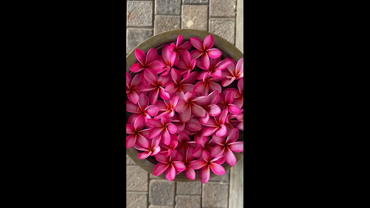 Welcome to Sri Lanka 🇱🇰