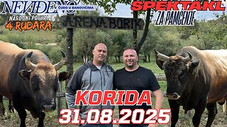 Korida kod Jasmina i Elvira Stražbenica 2025